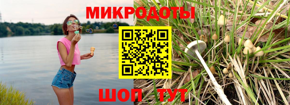 Псилоцибиновые грибы GOLDEN TEACHER Краснокаменск